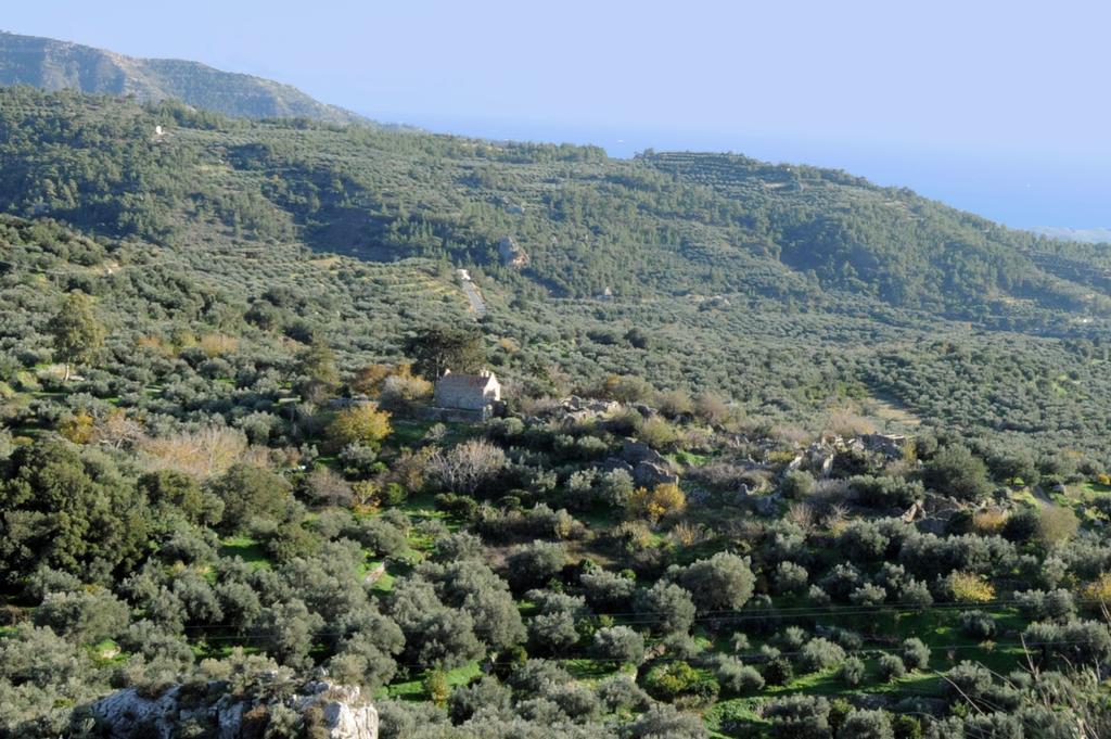 Mala Villa Malles Esterno foto